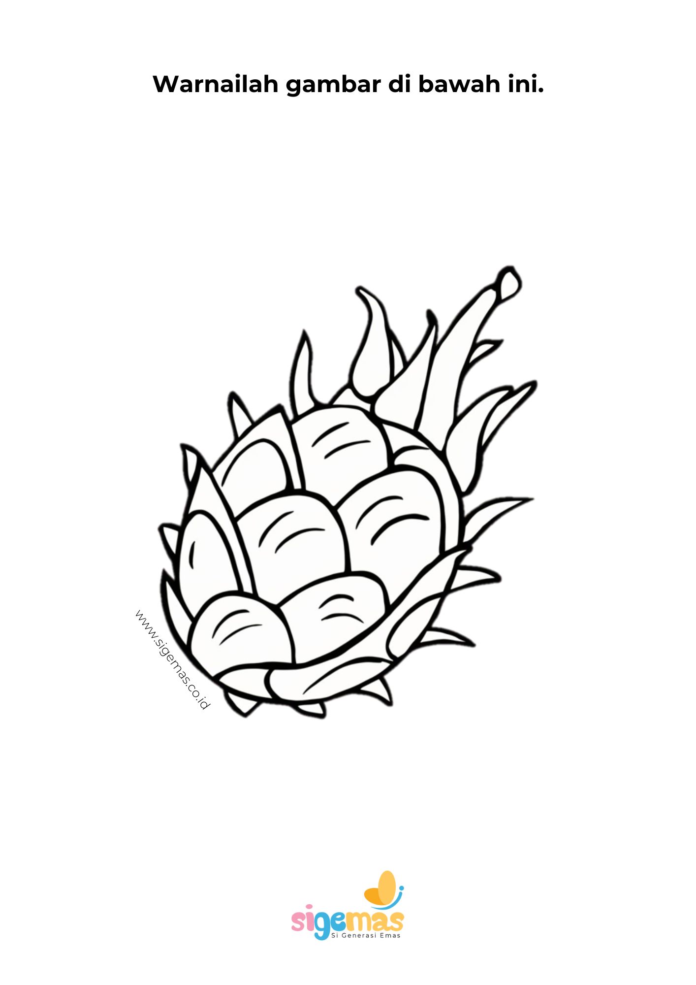 Mewarnai Gambar Buah Naga Sigemas